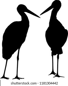 illustration with storks isolated on white background