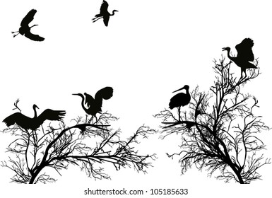 illustration with storks in trees branches isolated on white background