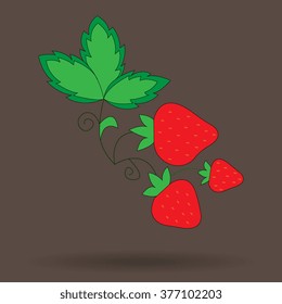 Illustration of Strawberries 