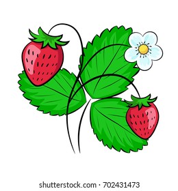 Illustration of a strawberry, isolated object. A great option for creating a summer mood and decorating Eco friendly, Children's products