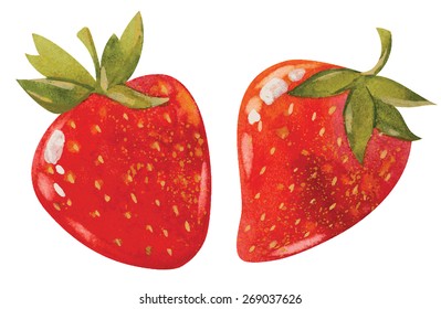 Illustration Of Strawberry, Vector  Watercolor
