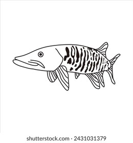 Illustration of a striking Muskellunge fish, displaying its distinctive patterns and predatory demeanor. Ideal for fishing enthusiasts, wildlife designs, and aquatic-themed projects. 