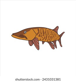 Illustration of a striking Muskellunge fish, displaying its distinctive patterns and predatory demeanor. Ideal for fishing enthusiasts, wildlife designs, and aquatic-themed projects. 