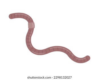 Eine Illustration eines gestreiften Regenwurms.