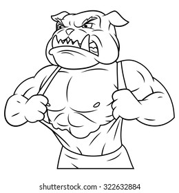 Illustration of the strong muscle aggressive bulldog tearing his shirt