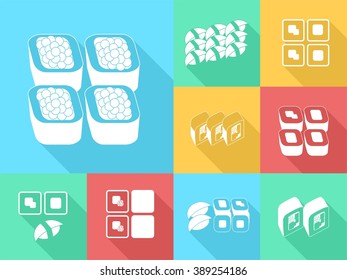 illustration in style of flat design on the theme of food - the sushi.