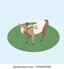 illustration in the style of flat isometry about a farm with a goat in a meadow