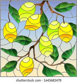 Illustration in the style of a stained glass window with the branches of lemon tree , the fruit branches and leaves against the sky