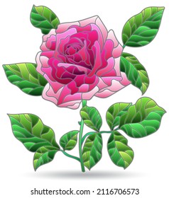 An illustration in the style of a stained glass window with a bright rose, a flower isolated on a white background