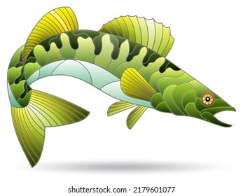 Illustration in the style of a stained glass window with a bright pike perch fish, an animal isolated on a white background