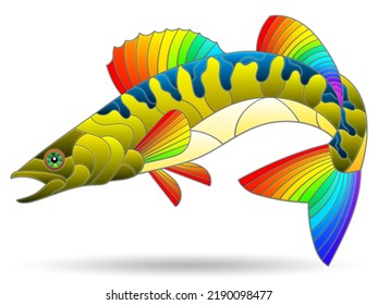 Illustration in the style of a stained glass window with a bright pike perch fish, an animal isolated on a white background