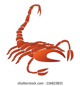 An illustration of a stylised  scorpion perhaps a scorpion tattoo