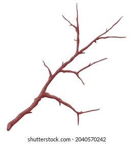 Illustration of stylized bare branch without leaves. Decorative plant.