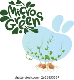 Illustration with stylized inscription Microgreens and drawing of microgreen sprouts with roots and seeds, on the background of abstract blue spot. Image on white background.