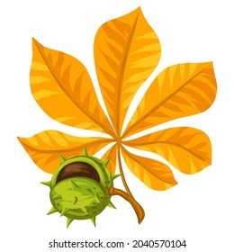 Illustration of stylized leaf with chestnut. Decorative autumn plant.