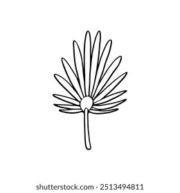 illustration of a stylized leaf, depicted with fine lines.