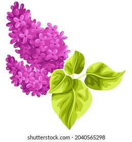 Illustration of stylized lilac branch with leaves. Decorative summer plant.
