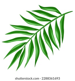 Illustration of stylized palm leaf. Decorative image of tropical plant.