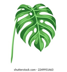 Illustration of stylized palm leaf. Image of tropical foliage and plant.