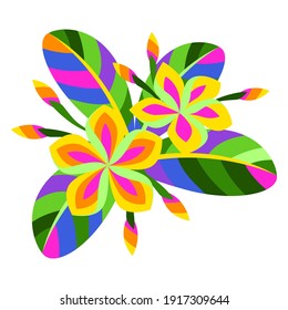 Illustration of stylized plumeria flower. Exotic tropical plant.