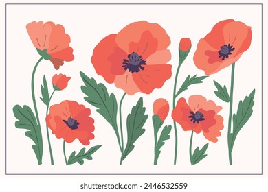 An illustration with stylized Poppies flowers. Bouquet. Garden. Spring.The texture, Line. Gray green, red, pink, violet. For postcards, magazines, websites, invitations.