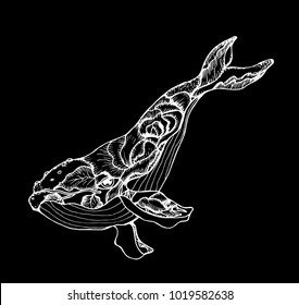 Illustration of a stylized whale with a flower tattoo