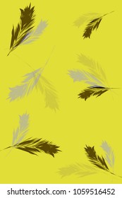illustration of the subject design of bird feathers 
