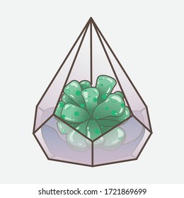 illustration of succulent in clear glass pot