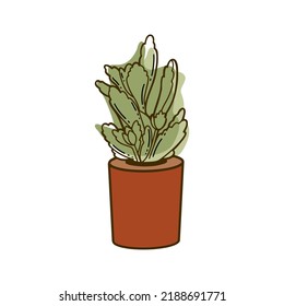 Illustration of succulent in the pot. Botanical drawing for poster design. Nature concept.