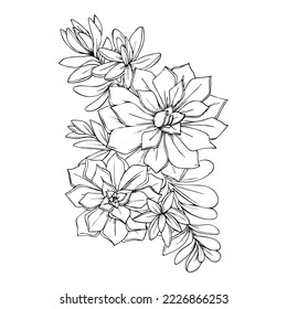 illustration of succulents flowers graphic decorative element black and white