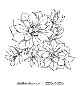 illustration of succulents flowers graphic decorative element black and white