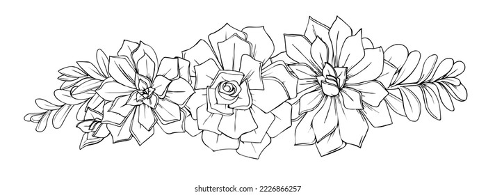 illustration of succulents flowers graphic decorative element black and white