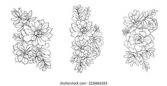 illustration of succulents flowers graphic decorative element black and white