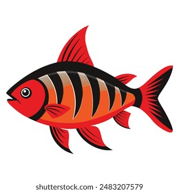 Illustration von Sumatra Barb Fisch auf weiß