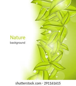 Illustration Summer Card with Eco Green Leaves - Vector