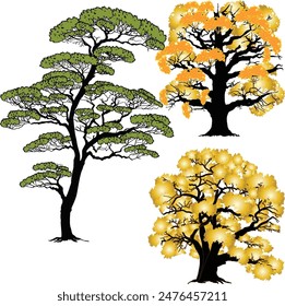 ilustración con árboles de verano y otoño aislados sobre fondo blanco
