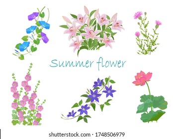 Illustration of summer flower. Hollyhock, lily, morning glory, thistle, water lily and clematis.