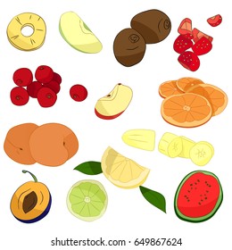 Illustration with summer fruits set on white background