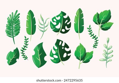 illustration of summer leaf variation collection