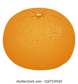 Illustration of the summer orange