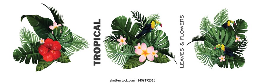 illustration of Summer sale 50% off with jungle palm Leaves tropical poster wallpaper for fun party invitation card  banner template 
