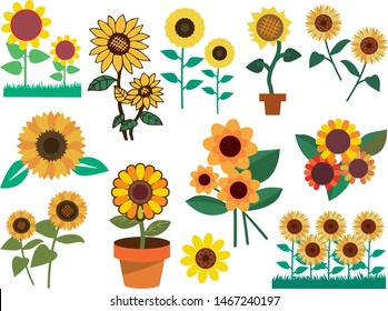 Illustration of summer sunflower material