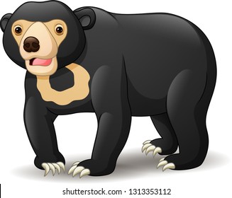 Illustration of sun bear isolated on white background