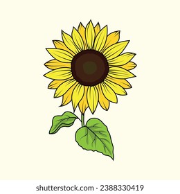 The Illustration of Sun Flower