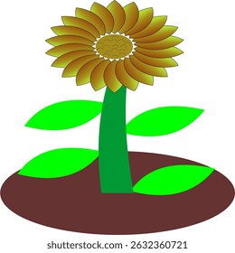 illustration a sun flower in a garden