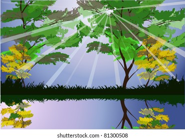 illustration with sunbeams in forest near water