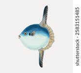 Illustration of a sunfish with a round body and distinct fins. Sunfish features a blue and white gradient. Sunfish depicted in a simple, artistic style. Vintage fish illustration isolated, vector.