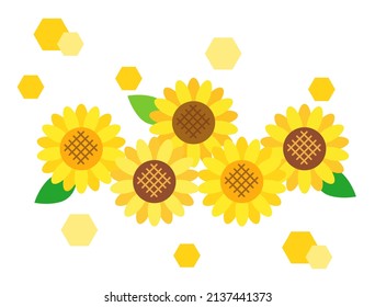 It is an illustration of sunflower.
