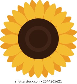 the Illustration of a sunflower