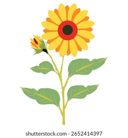 Illustration of a sunflower with a bud, isolated on white background, perfect for adding a touch of nature to your designs.